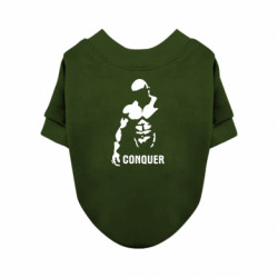 Свитшоты для собак