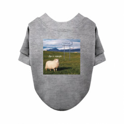 Свитшоты для собак