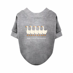 Світшоти для собак