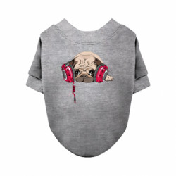 Світшоти для собак