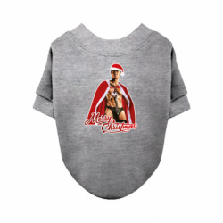 Свитшоты для собак