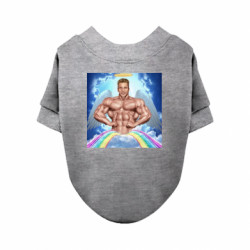 Свитшоты для собак