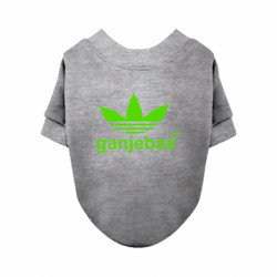 Свитшоты для собак