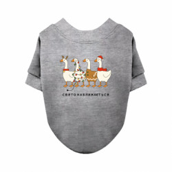 Світшоти для собак