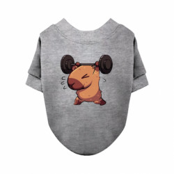 Свитшоты для собак