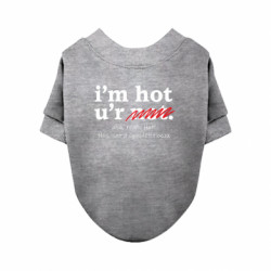 Свитшоты для собак