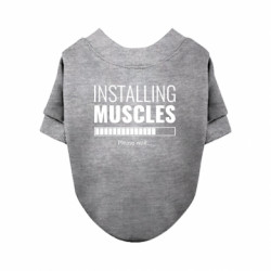 Світшоти для собак