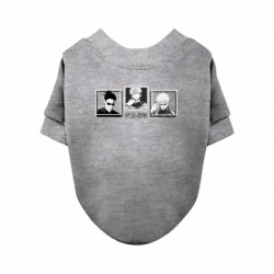 Свитшоты для собак