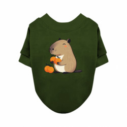 Свитшоты для собак