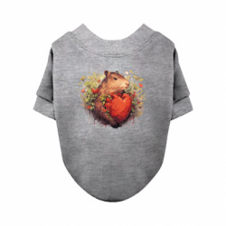 Свитшоты для собак