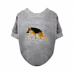 Свитшоты для собак