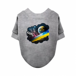 Свитшоты для собак