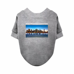 Свитшот для собаки Вид с Киевской области на левый берег Киева - FATLINE Свитшот для собаки Вид с Киевской области на левый берег Киева