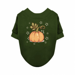 Свитшоты для собак