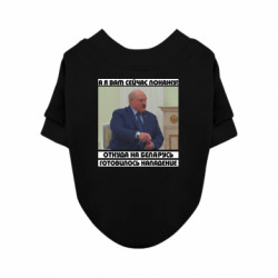 Світшоти для собак