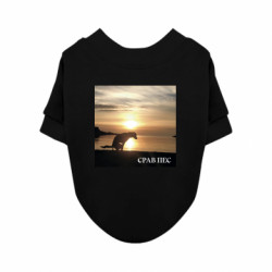 Світшоти для собак