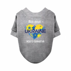 Свитшоты для собак