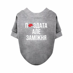 Свитшоты для собак