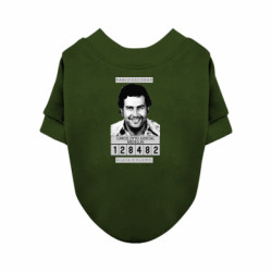 Свитшоты для собак