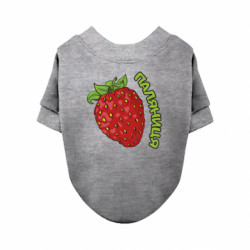 Свитшоты для собак