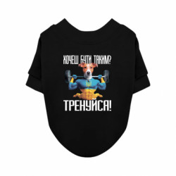 Свитшоты для собак