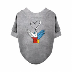 Свитшоты для собак