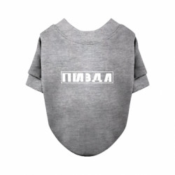 Свитшоты для собак