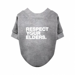 Свитшоты для собак