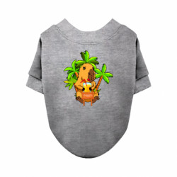 Світшоти для собак