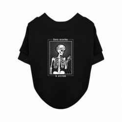 Свитшоты для собак