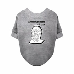 Свитшоты для собак