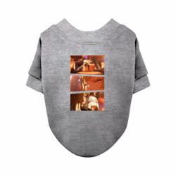 Свитшоты для собак