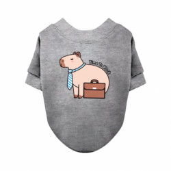 Свитшоты для собак