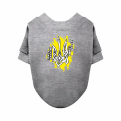 Свитшоты для собак