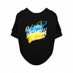 Свитшоты для собак