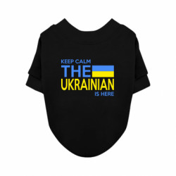 Свитшоты для собак