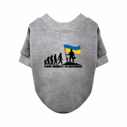 Свитшоты для собак