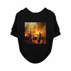 Свитшоты для собак