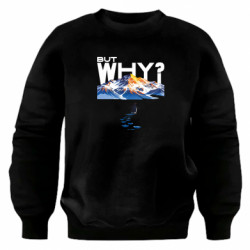 Світшоти оверсайз