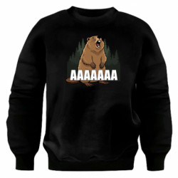 Світшоти оверсайз