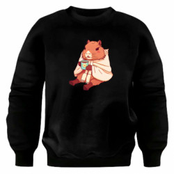 Свитшоты оверсайз