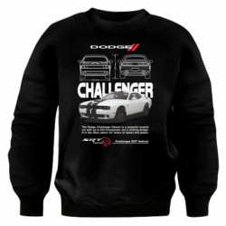 Світшоти оверсайз