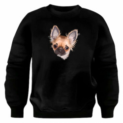 Свитшоты оверсайз