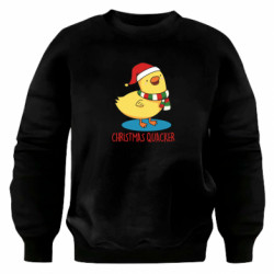 Світшоти оверсайз