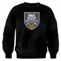 Світшоти оверсайз