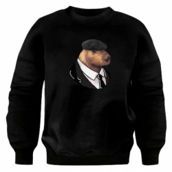 Світшоти оверсайз