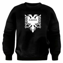 Світшоти оверсайз