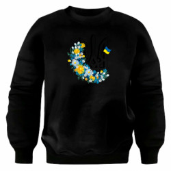 Світшоти оверсайз