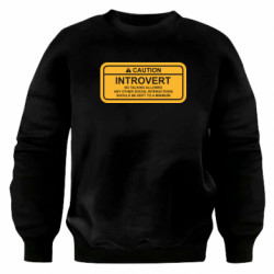 Світшоти оверсайз