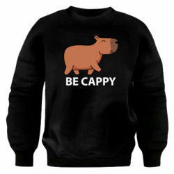 Світшоти оверсайз